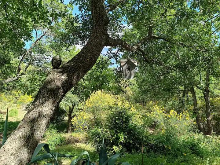L'Autre Perle, Balneo En Supplement, Le Clos Des Perles Tourtour Exteriör bild